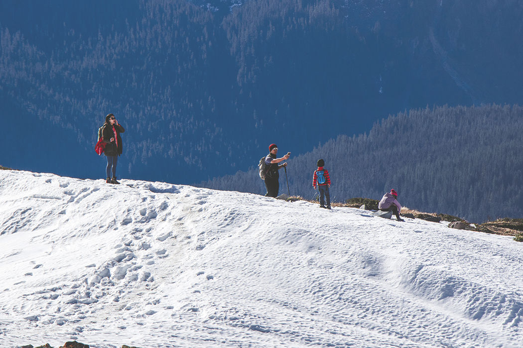 Photos: From Paradise in Mount Rainier National Park